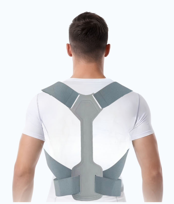 Nuewell AlignBack